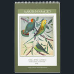 Vintage Birds - Parrots and Parakeets 2026 Calendar<br><div class="desc">Twelve-month wall calendar with antique illustrations of parrots and parakeets from The Illustrated Book of Canaries and Cage-Birds,  published in 1878. Digitally cleaned and enhanced richly coloured vintage images. Features over two dozen different species of parrots and parakeets.</div>