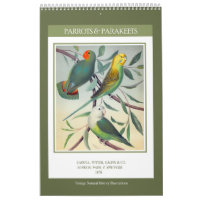 Vintage Birds - Parrots and Parakeets 2027