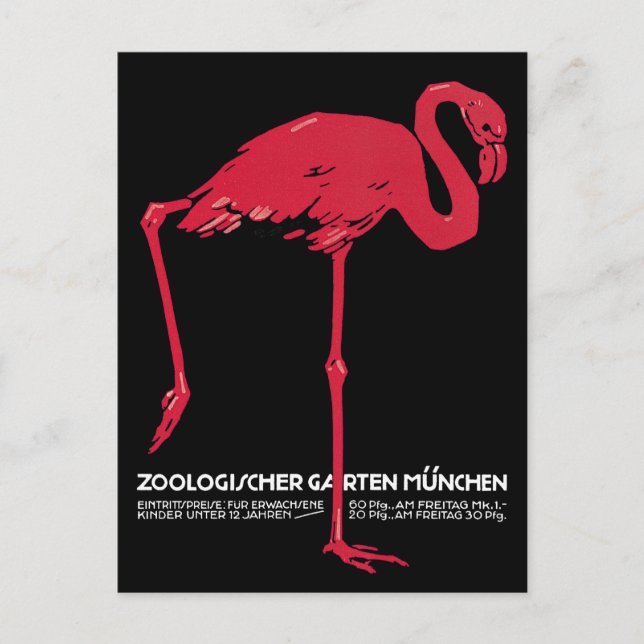 Vintage Birds, Pink Flamingo Postcard (Front)