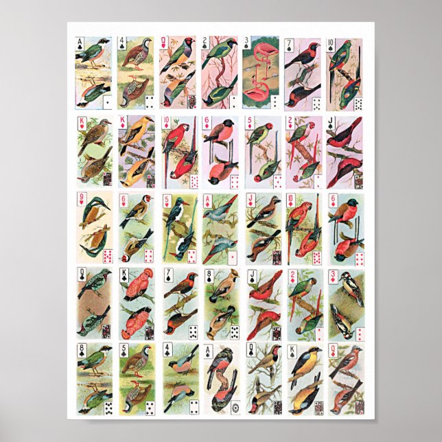 Vintage Birds Playing Cards Animals Wildlife art Poster (Front)