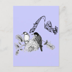 Vintage Birds Postcard