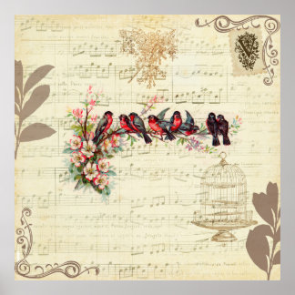 Vintage Birds Poster