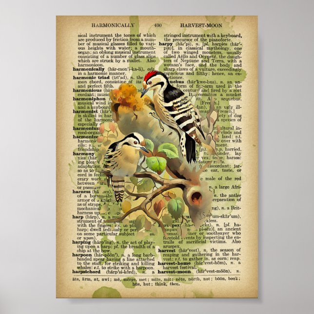 Vintage Birds Poster (Front)