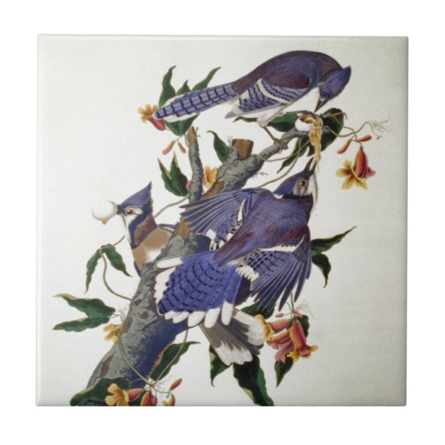 Vintage Birds Tile (Front)