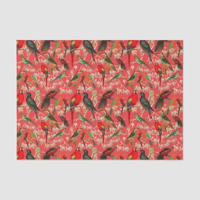 Vintage birds tissue paper (Front)
