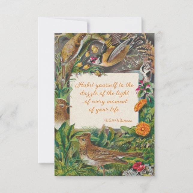 Vintage Birds & Whitman (Dazzle of the Light) Card (Front)