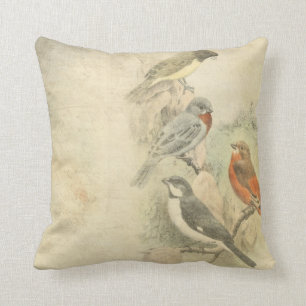 Vintage Birds Worn Design Cushion