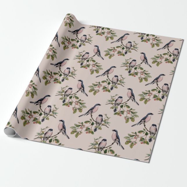 Vintage Birds Wrapping Paper (Unrolled)