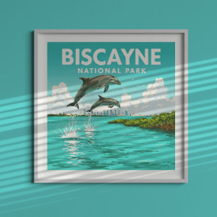 Vintage Biscayne National Park Poster