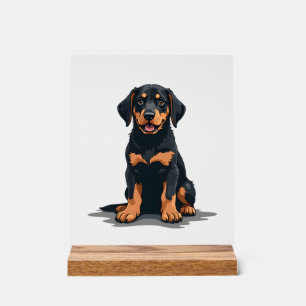 Vintage Black and Tan Dog Back View Illustration P Acrylic Sign