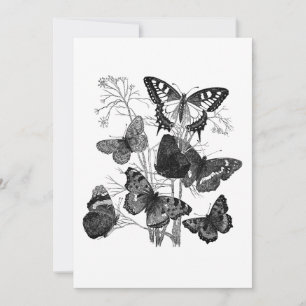 Vintage Black and White Butterflies Invitation