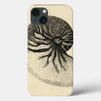 Vintage Black and White Conch Shell