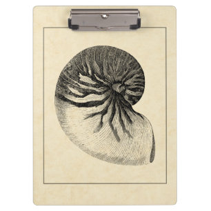 Vintage Black and White Conch Shell Clipboard