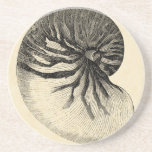 Vintage Black and White Conch Shell Coaster<br><div class="desc">Get this unique black and white Conch seashell image on your next product. This amazing,  sepia background with a Black and White Conch will look great on anything. Take the beach with you everywhere you go.</div>