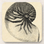Vintage Black and White Conch Shell Coaster<br><div class="desc">Get this unique black and white Conch seashell image on your next product. This amazing,  sepia background with a Black and White Conch will look great on anything. Take the beach with you everywhere you go.</div>
