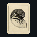 Vintage Black and White Conch Shell Magnet<br><div class="desc">Get this unique black and white Conch seashell image on your next product. This amazing,  sepia background with a Black and White Conch will look great on anything. Take the beach with you everywhere you go.</div>
