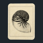 Vintage Black and White Conch Shell Magnet<br><div class="desc">Get this unique black and white Conch seashell image on your next product. This amazing,  sepia background with a Black and White Conch will look great on anything. Take the beach with you everywhere you go.</div>