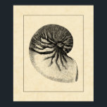 Vintage Black and White Conch Shell Poster<br><div class="desc">Get this unique black and white Conch seashell image on your next product. This amazing,  sepia background with a Black and White Conch will look great on anything. Take the beach with you everywhere you go.</div>