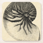 Vintage Black and White Conch Shell Square Paper Coaster<br><div class="desc">Get this unique black and white Conch seashell image on your next product. This amazing,  sepia background with a Black and White Conch will look great on anything. Take the beach with you everywhere you go.</div>