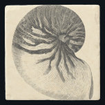 Vintage Black and White Conch Shell Stone Coaster<br><div class="desc">Get this unique black and white Conch seashell image on your next product. This amazing,  sepia background with a Black and White Conch will look great on anything. Take the beach with you everywhere you go.</div>