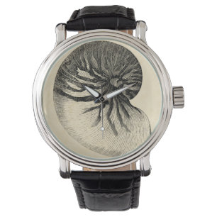 Vintage Black and White Conch Shell Watch