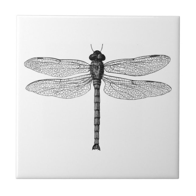 Vintage Black and White Dragonfly Illustration Ceramic Tile (Front)