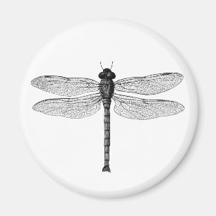 Vintage Black and White Dragonfly Illustration Magnet
