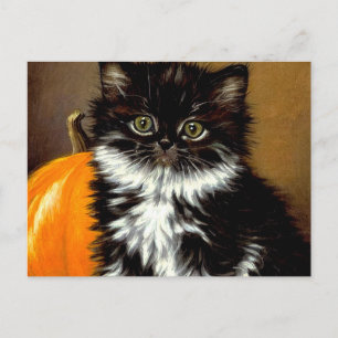 Vintage Black and White Halloween Cat Postcard