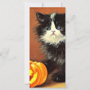 Vintage Black and White Halloween Kitten Card