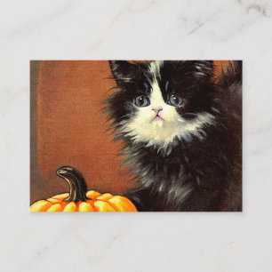 Vintage Black and White Halloween Kitten Enclosure Card