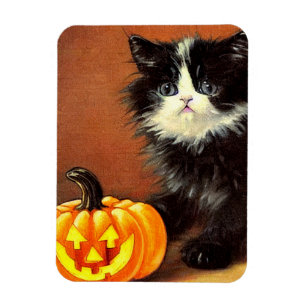 Vintage Black and White Halloween Kitten Magnet