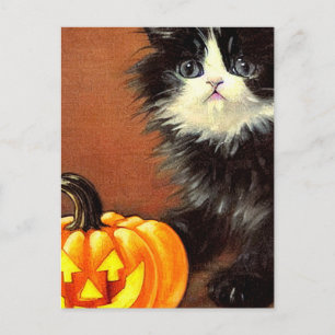 Vintage Black and White Halloween Kitten Postcard