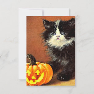 Vintage Black and White Halloween Kitten RSVP Card
