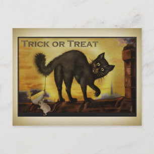 Vintage Black Cat Postcard