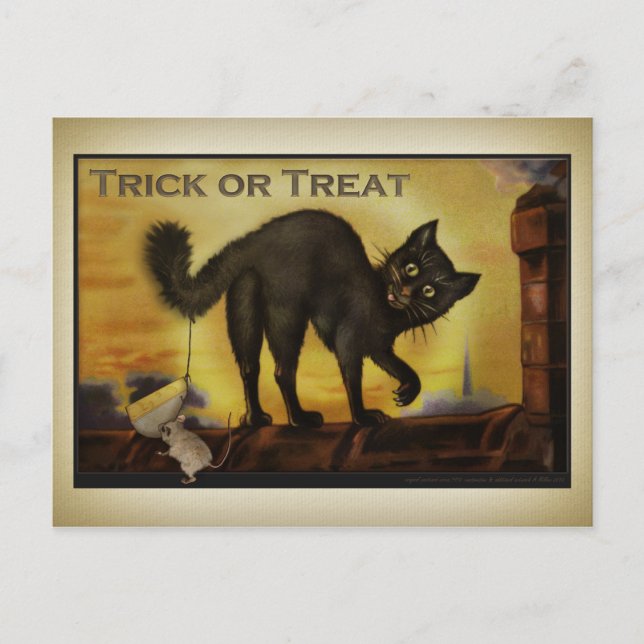 Vintage Black Cat Postcard (Front)