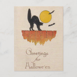 Vintage Black Cat, Screech, Halloween Postcard