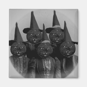 Vintage Black Cat/Witches Magnet