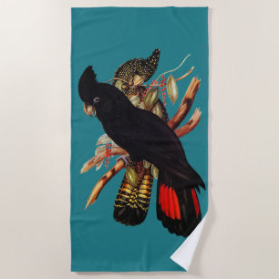 Vintage Black Cockatoo Elizabeth Gould 1800s Pos Beach Towel