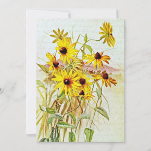 Vintage Black Eyed Susan Wildflowers  Holiday Card