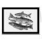 Vintage Black Fish