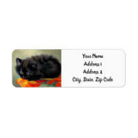Vintage Black Kitten with Red Flower Blanket