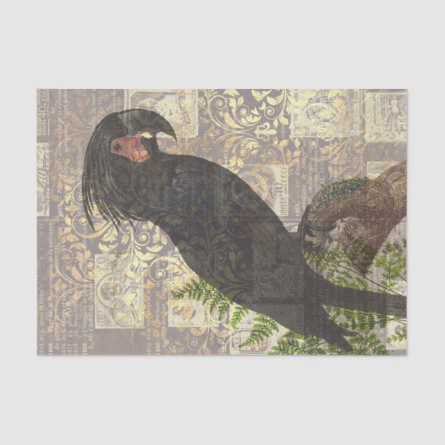 Vintage Black Parrot Tissue Paper (Front)