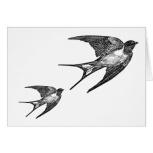Vintage Black Swallow Design