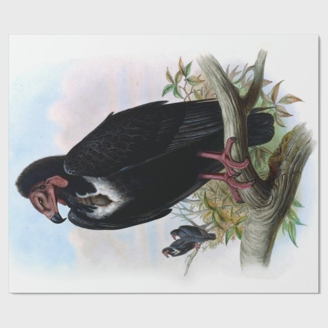 Vintage Black Vulture Bird Decoupage Wrapping Paper (Flat)