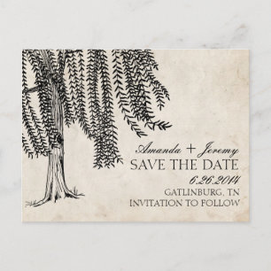 Vintage Black Weeping Willow Save The Date Announcement Postcard