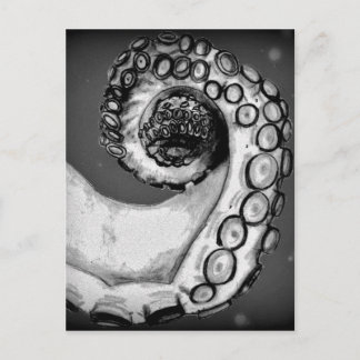 Vintage Black & White Nautical Octopus Tentacle Postcard