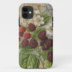 Vintage Blackberries & French Ephemera Art Collage iPhone 11 Case