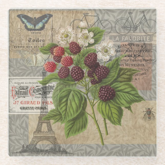 Vintage Blackberries & French Ephemera Art Collage Glass Coaster (Front)