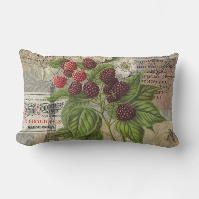 Vintage Blackberries & French Ephemera Art Collage Lumbar Cushion (Front)