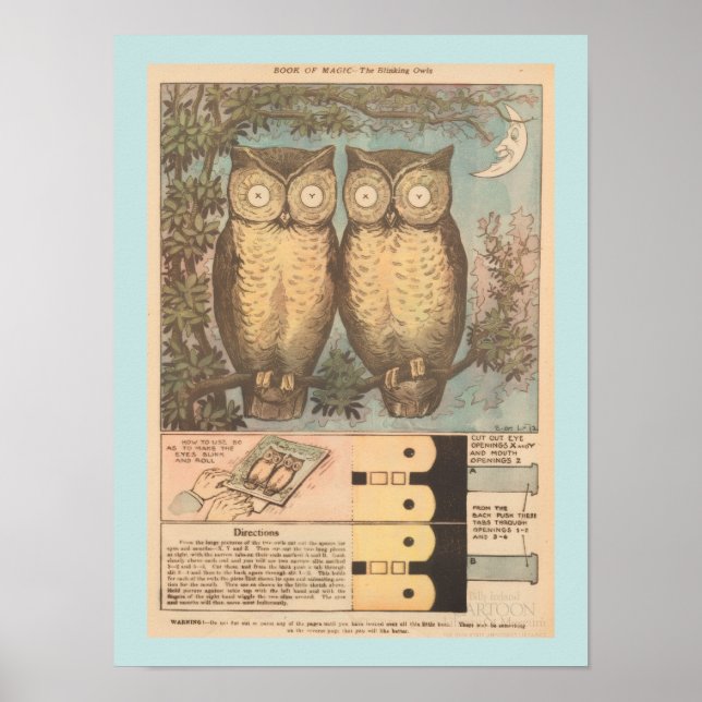 Vintage blinking owl cute fall craft  poster (Front)